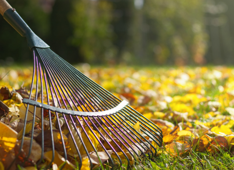 Adjustable Garden Rake