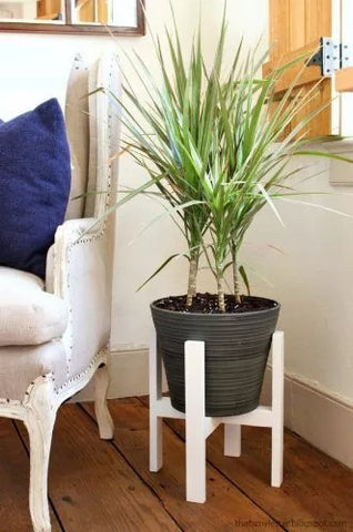 DIY plant stand to add a bit of creative touch to your indoor plants.