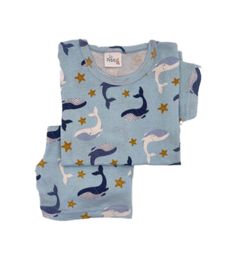 Pijama Tiburón Azul – PetitRO