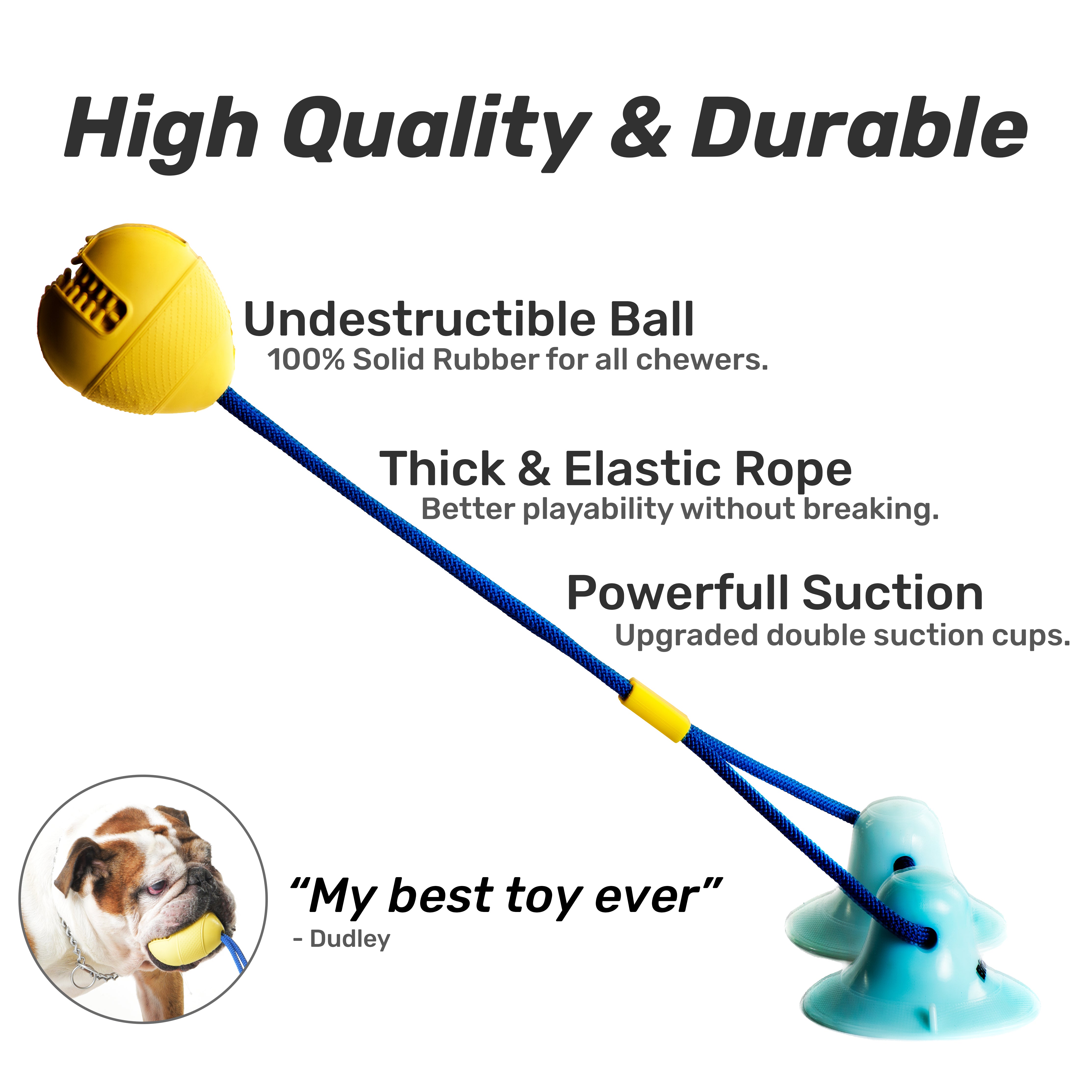 dog toy with suction cup