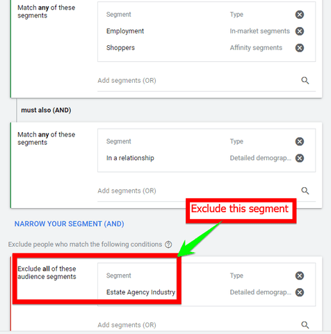 Defining a target audience persona with exclusion of a certain segment