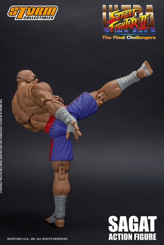 storm collectibles street fighter sagat