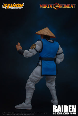 storm collectibles raiden