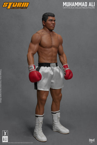 storm collectibles ali