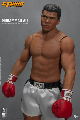 storm collectibles ali