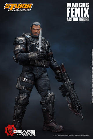 gears 5 storm collectibles