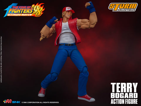 storm collectibles terry bogard