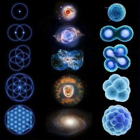 sacred geometry universe