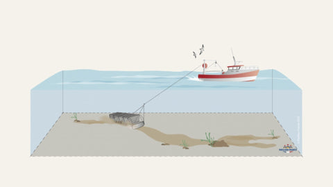 Illustration de la pêche à la drague avec un bateau sur la mer tirant un racleur de fond pour la pêche aux coquillages.
