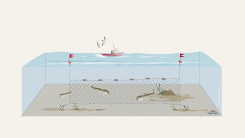 Illustration d'un bateau sur la mer avec un filet maillant (à mailles plus ou moins grosses) pour la pêche des poissons.