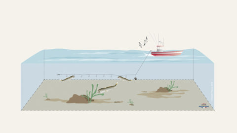 Illustration d'un palangrier sur la mer, trainant une ligne avec des hameçon pour la pêche des poissons.