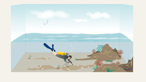 Illustration d'un plongeur sous l'eau pratiquant la pêche de plongée principalement pour la capture des coquillages.