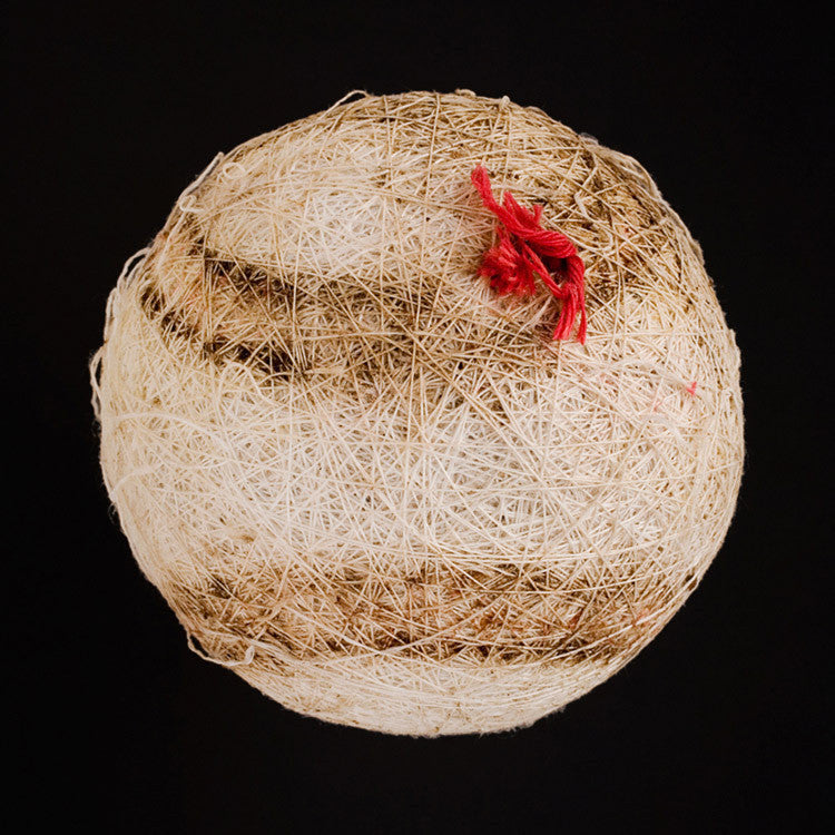 Thread 2 - Foster Home