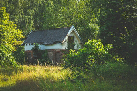 Ferienhaus in der Natur