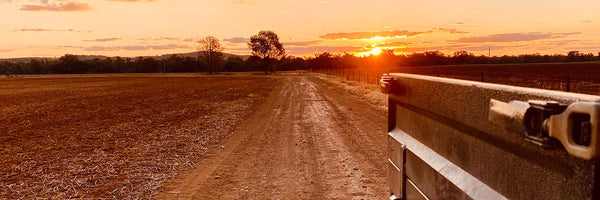 A sunset scene on a dirt road. The tail end of the ute tray can just be seen in front of a setting sun.