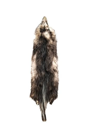TANNED OPOSSUM COLLECTION – Dakotaline Furs