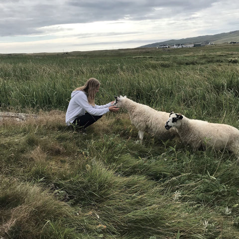sheep-on-Tiree-Hebrides-grazing-on-machair-girl-in-lambswool-sweater