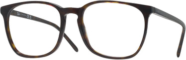 Square Ray-Ban 5387L Single Vision Full Frame