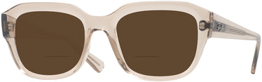 Square Ray-Ban 7225 Bifocal Reading Sunglasses