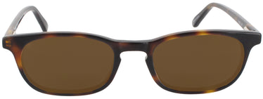 Oval Lerner Progressive Reading Sunglasses