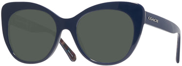 Cat Eye Coach 8317 Progressive Reading Sunglasses