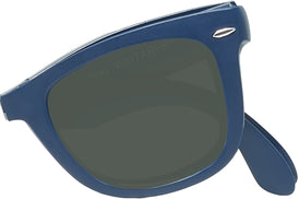 Wayfarer Ray-Ban 4105 Progressive Reading Sunglasses