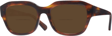 Square Ray-Ban 7225 Bifocal Reading Sunglasses