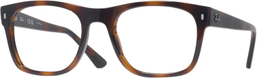 Square Ray-Ban 7228 Progressive No-Line Progressive No-Lines