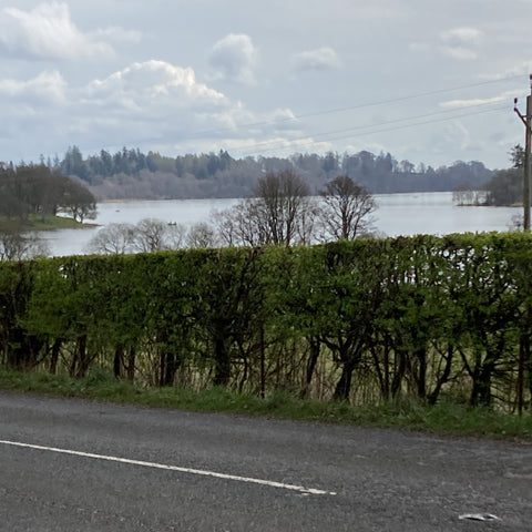 View of Lake of Menteith