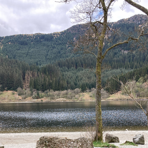 Loch lubnaig