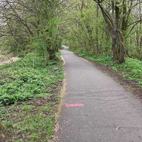 Cycle track with bumps