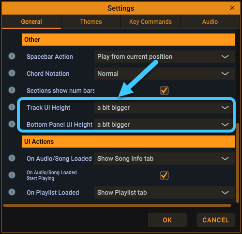 Settings to scale the UI