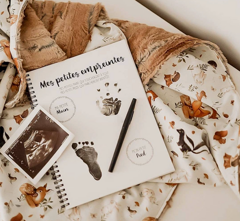  Le Petit Journal De Mon Bébé Première Année: livre de naissance  garçon, tout en couleur, pour garder les souvenirs de bébé, depuis le  ventre de maman jusqu'à sa première année 
