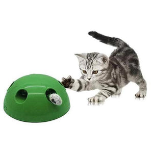 motion cat toy