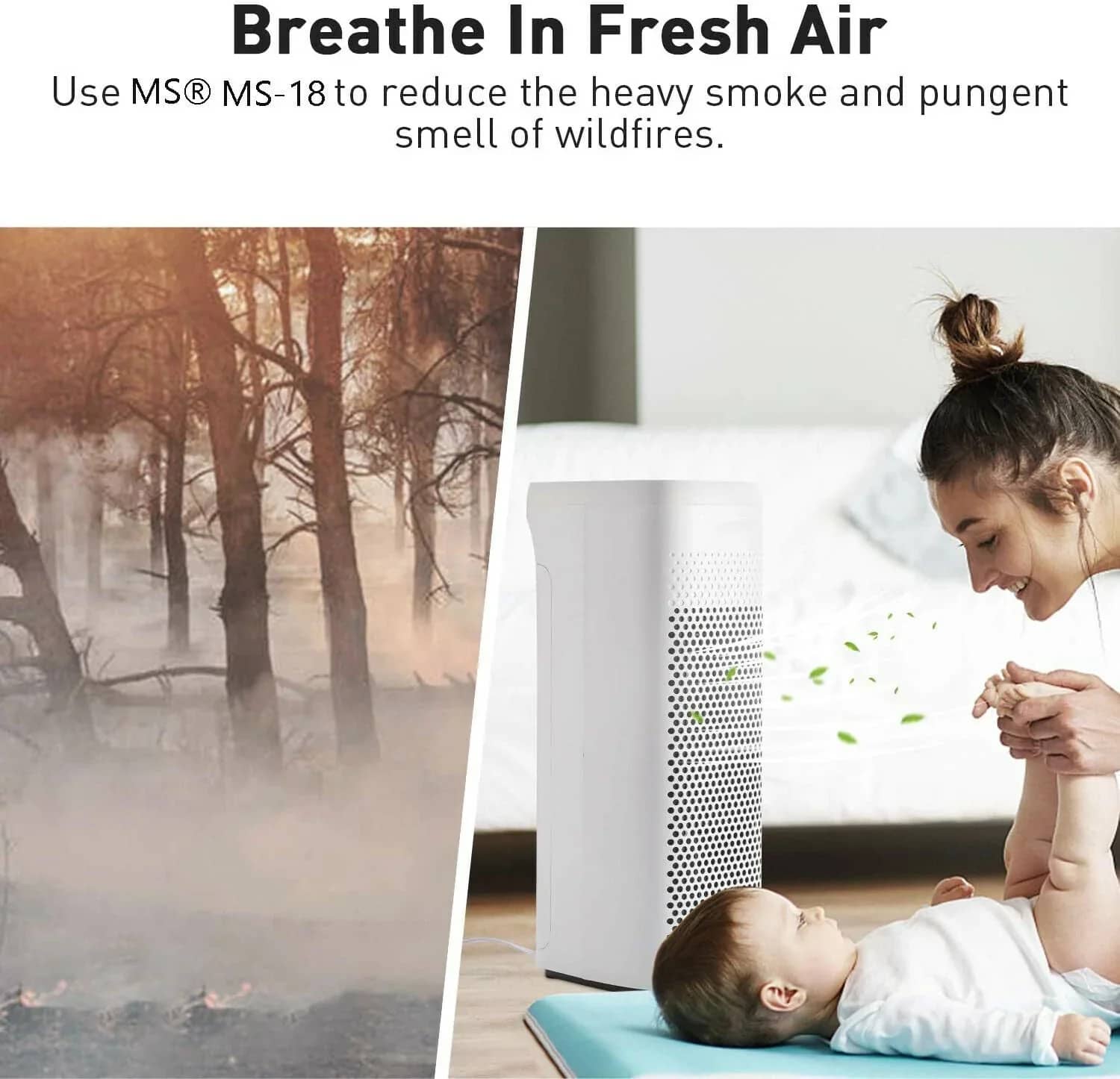 Air Purifier for Wildfire Smoke