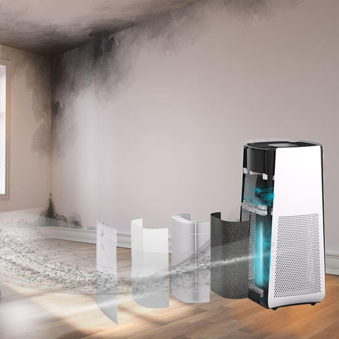 Best Mold Air Purifier for Mold Removal
