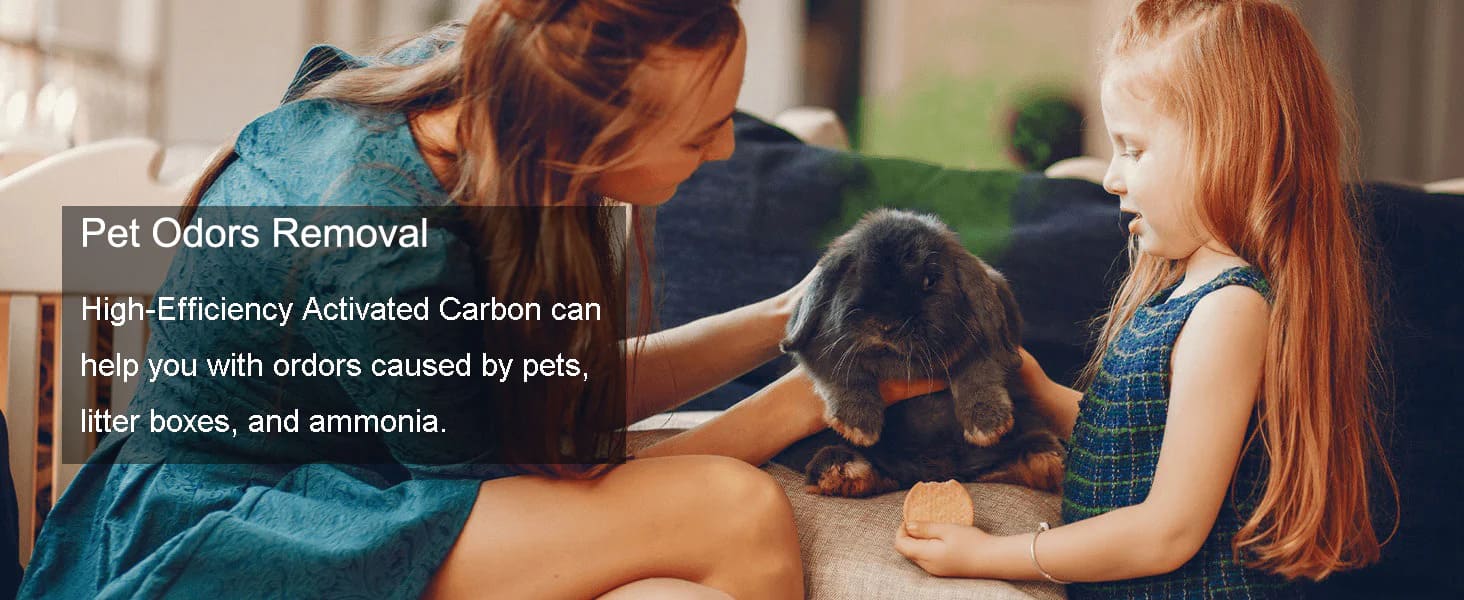 Air Purifier for pet Allergies