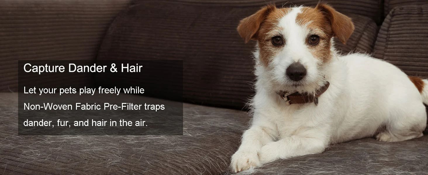 Air Purifier for pet hair Allergies