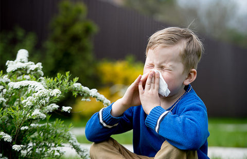 Impact of Pollen Allergies on Children