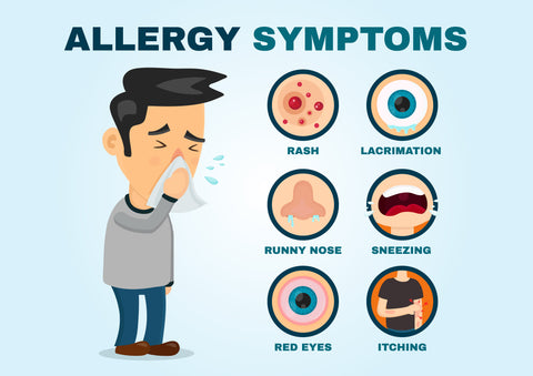 What Is an Allergy