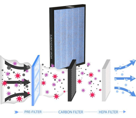 how long does it take for air purifiers to work