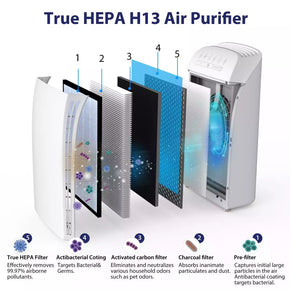 air purifier get rid of dust