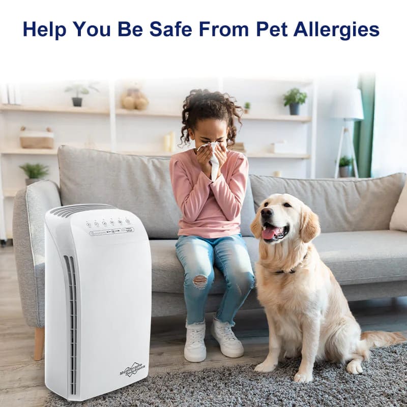 air purifier for pet allergies