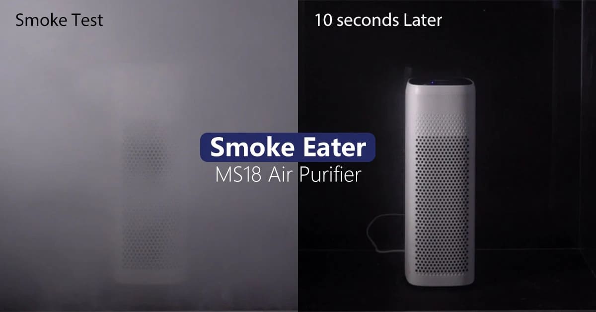 Air Purifier for Weed Smoke