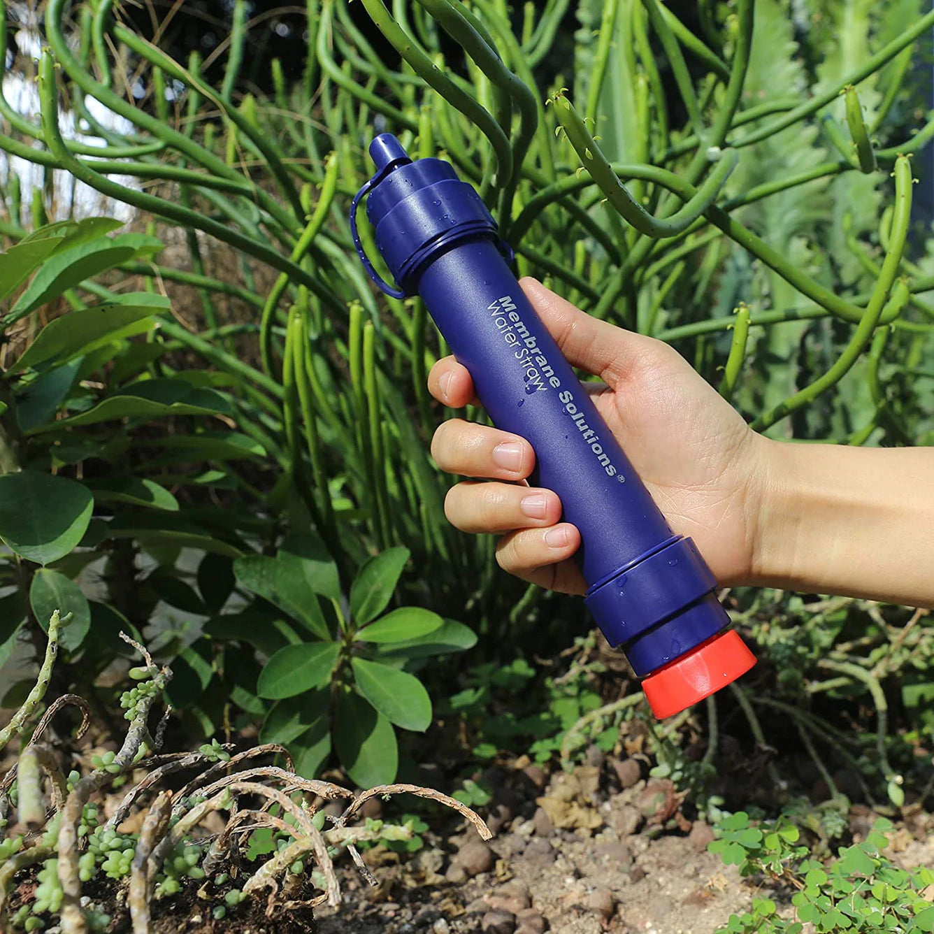 Life Straw Water Filter – MSPure by Membrane Solutions®