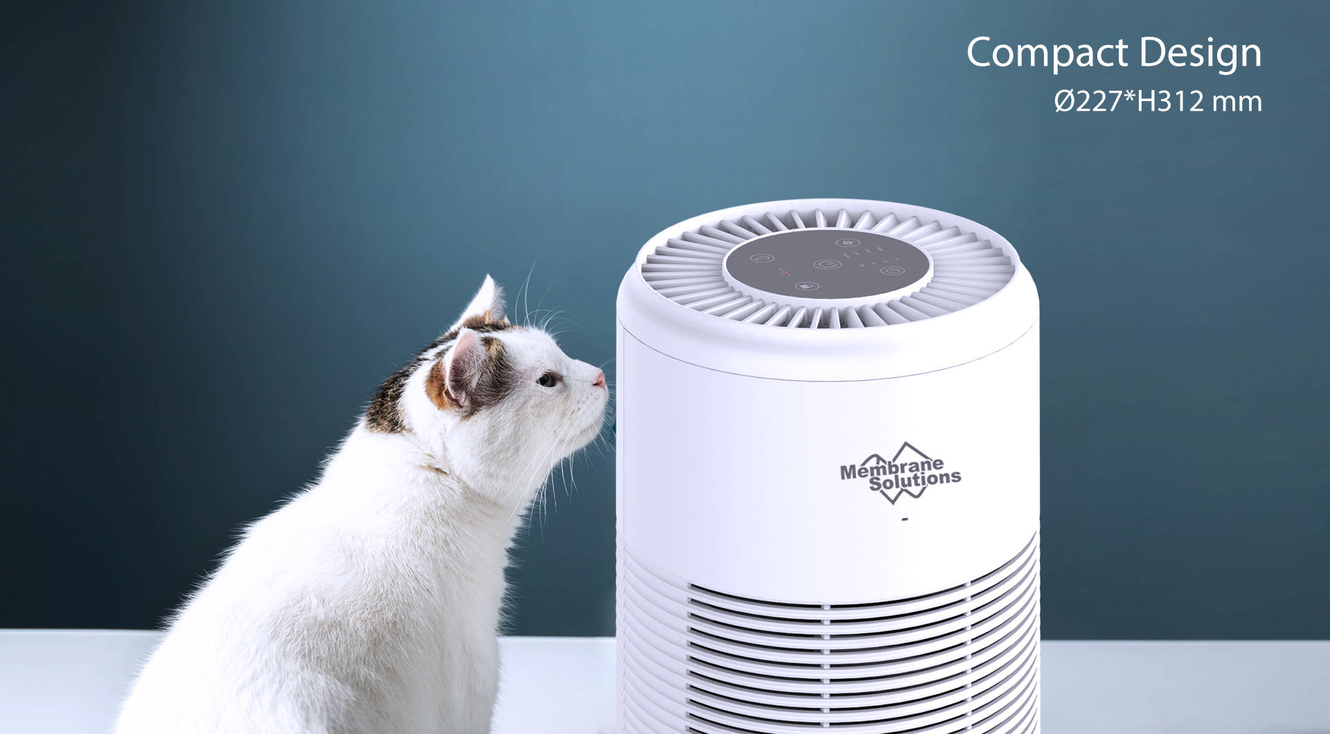 Best Air Purifier for Pet Odors