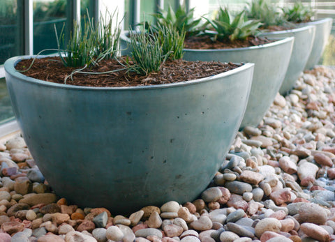 Slick Rock Wave Medium Planter