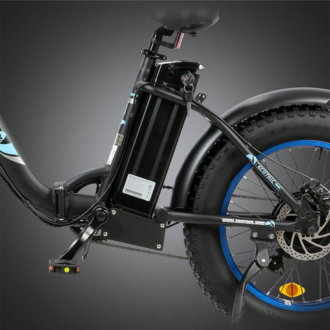 UL Certified-Ecotric 20inch black Portable and folding fat bike model Dolphin