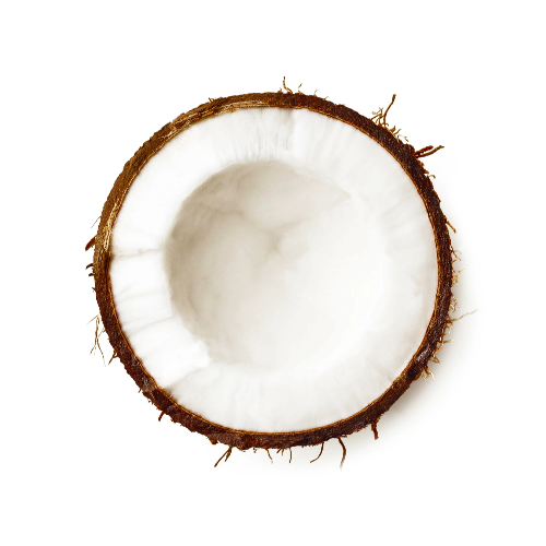 coconut