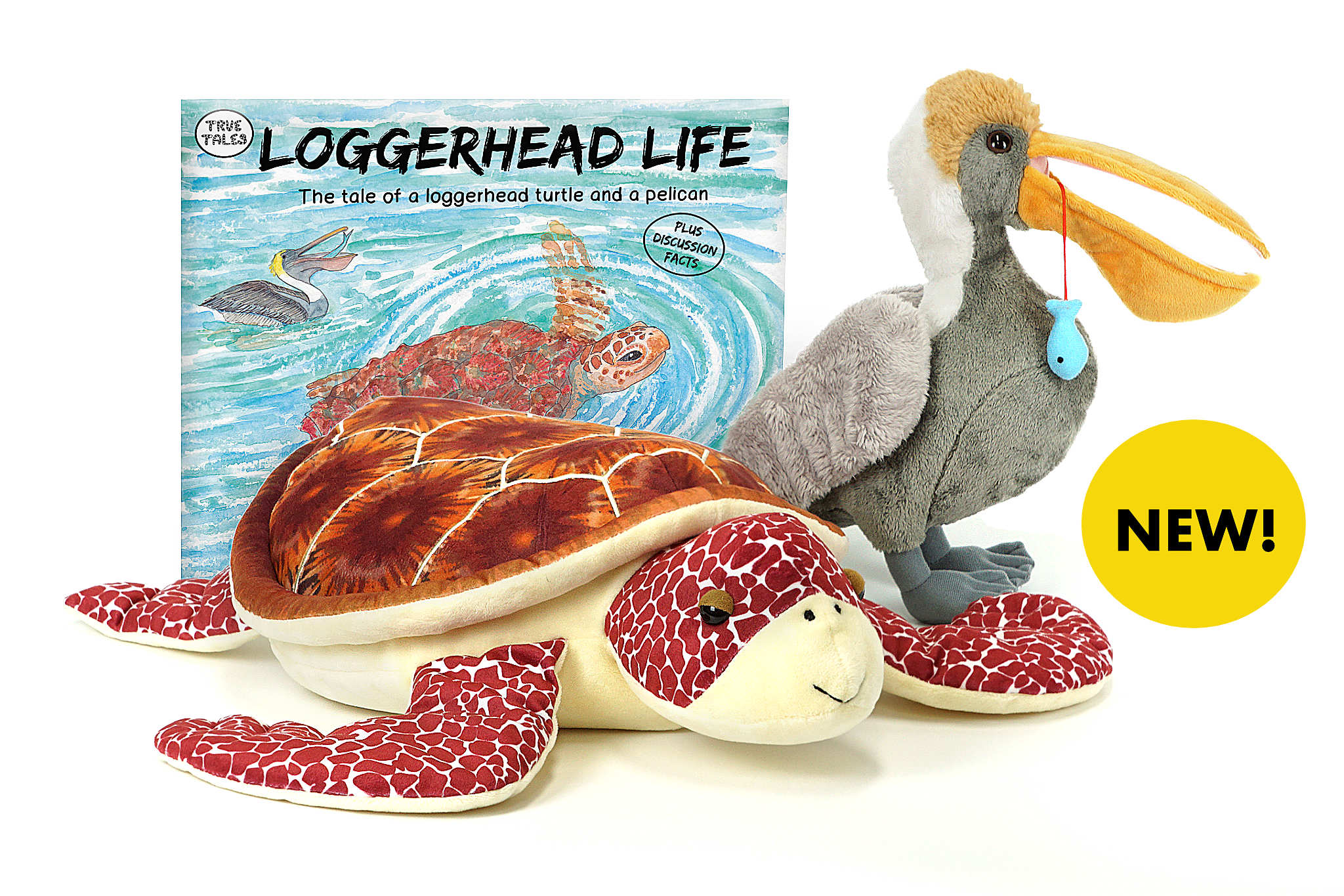 Loggerhead Life Collection